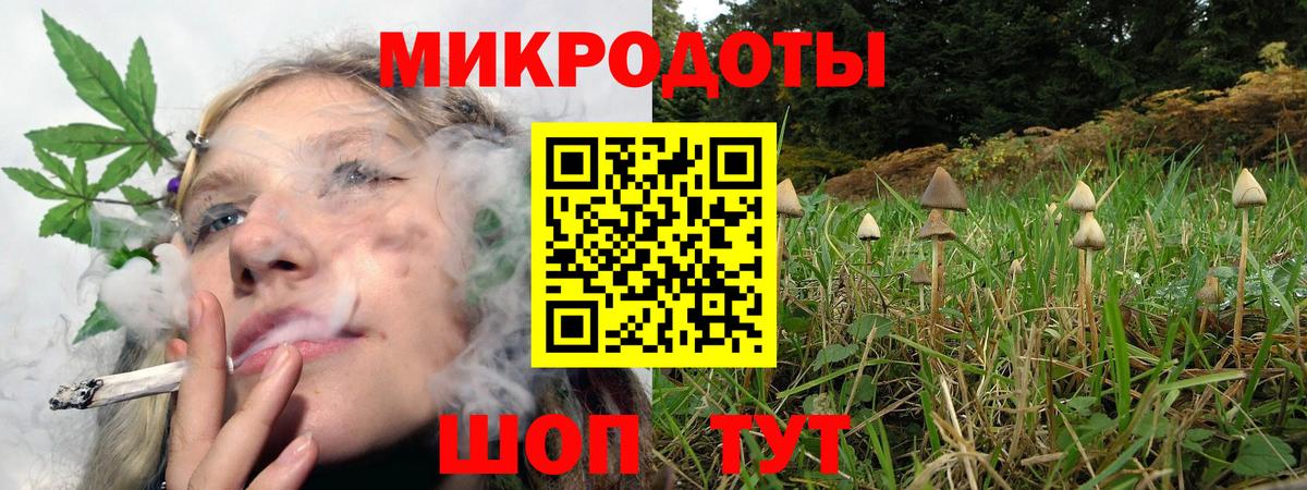 Галлюциногенные грибы мицелий  купить наркотики цена  Вход с VPN  Холмск  Псилоцибиновые грибы Psilocybe 